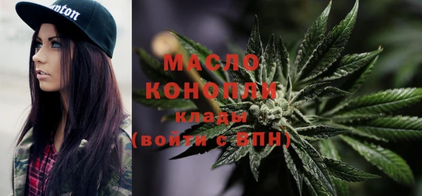 тгк Бородино