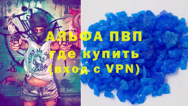 соль ск Ельня