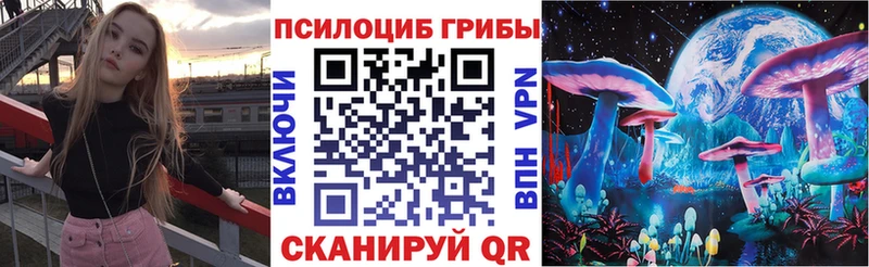 как найти закладки  Высоковск  Псилоцибиновые грибы ЛСД 